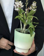 Pot Vert clair V
