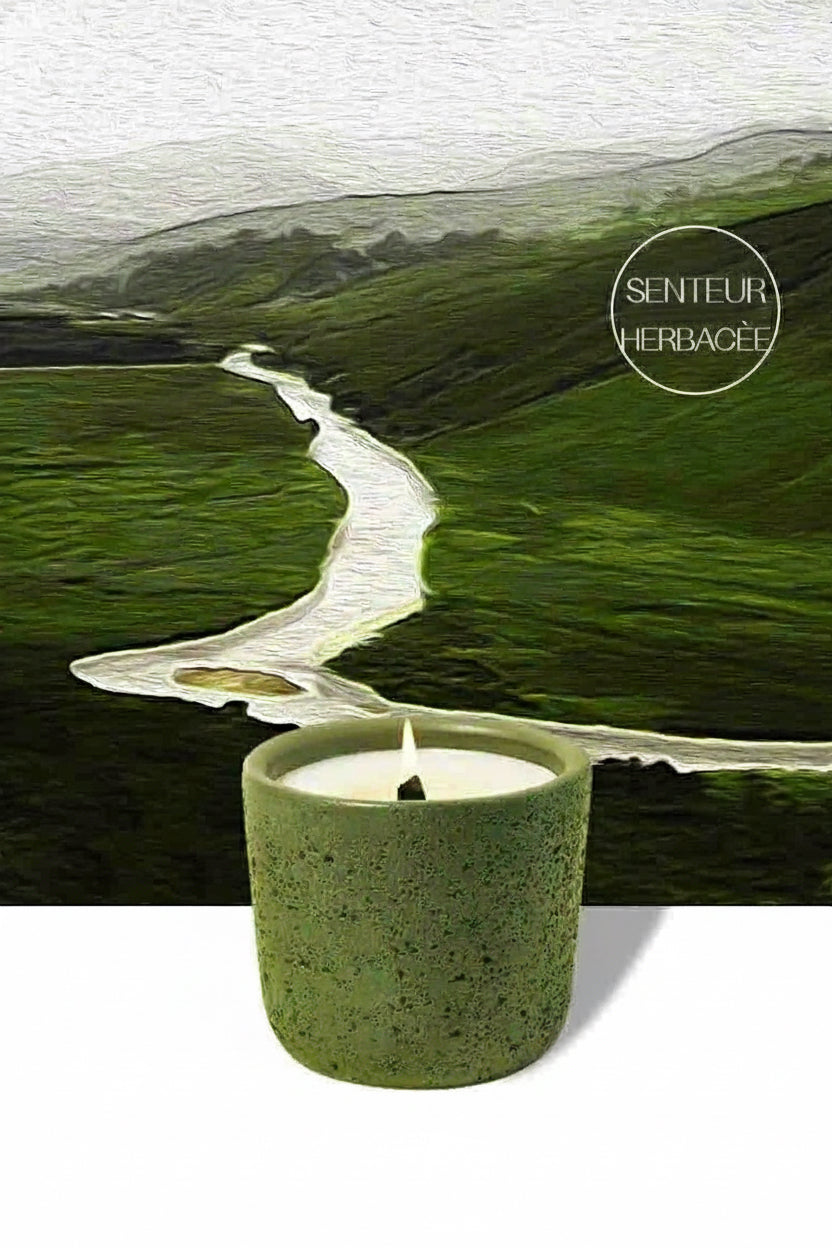 Wood Wick Soy Wax Scented Candle - Breath Of Nature Scented - Iceland Tundra-1